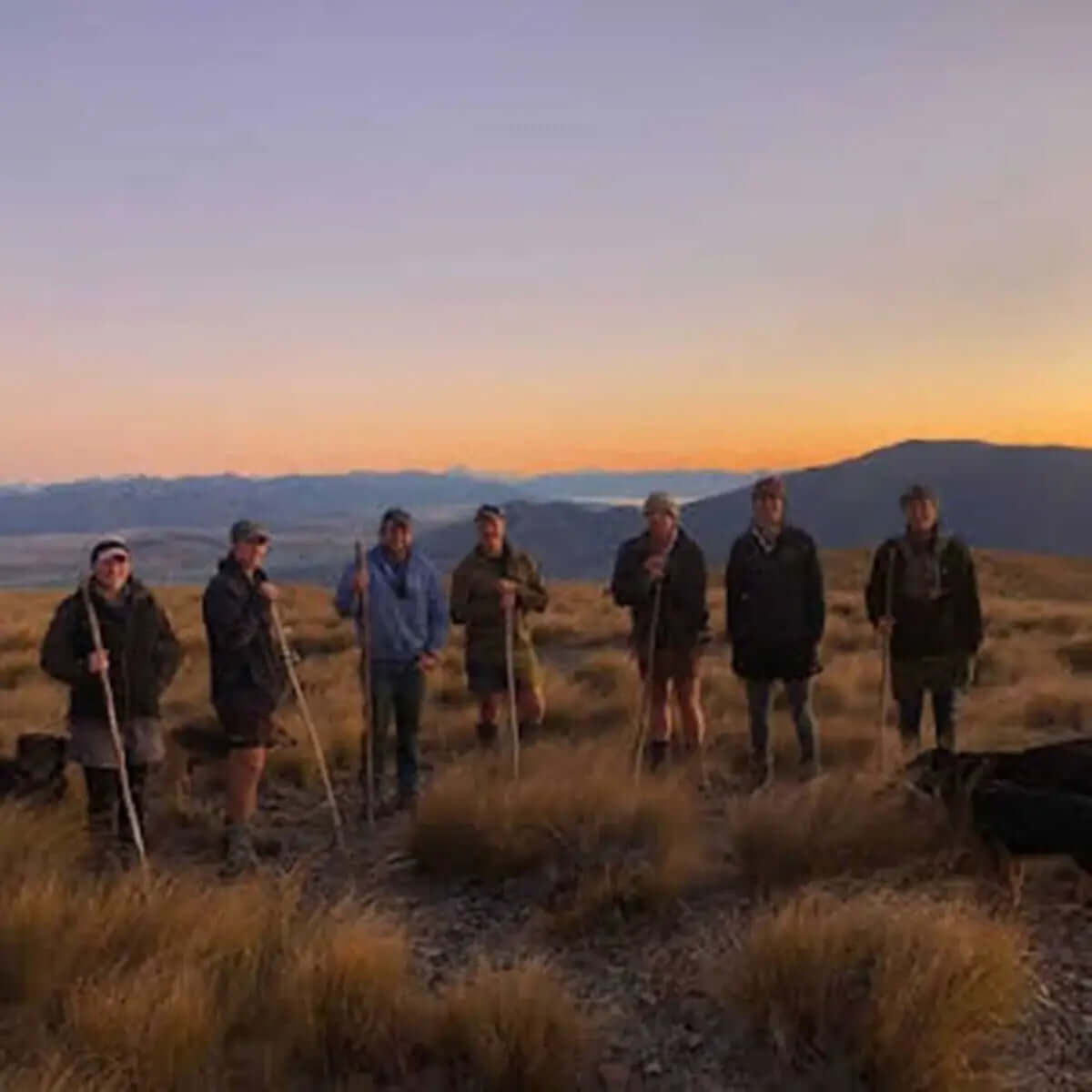 Group of regenerative farmers standing in New Zealand grasslands at sunrise, stewards of Antipodean Home’s regenerative wool supply.”