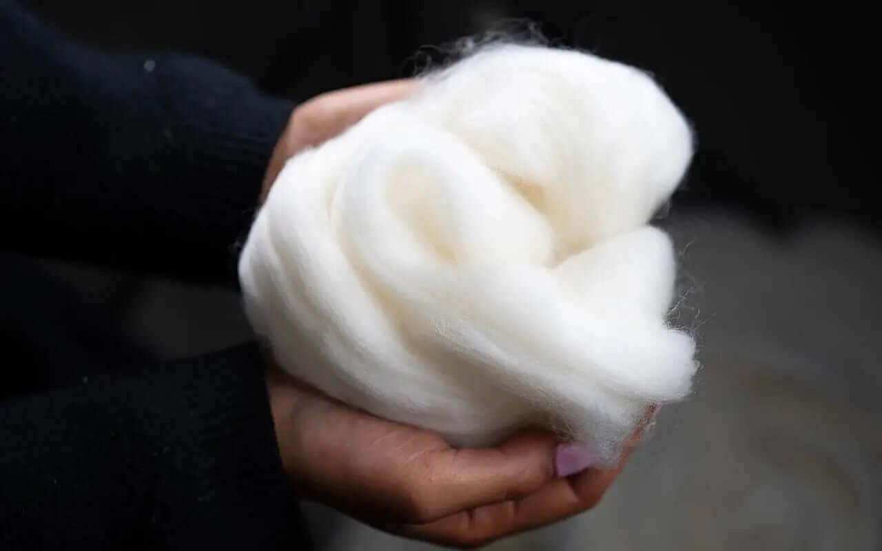 Close-up of regenerative New Zealand wool fibers used in Antipodean Home organic bedding, soft, pure, and sustainable.