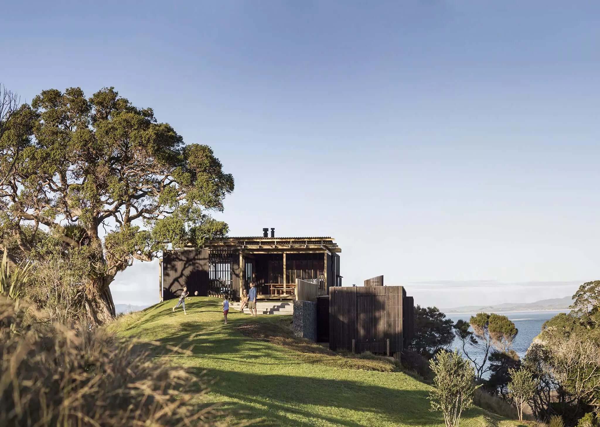 Modern coastal New Zealand home surrounded by native trees and ocean views — representing Antipodean Home’s connection to nature and regenerative living.