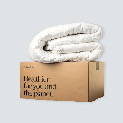 Wool Comforter Set (Insert + Organic Cotton Cover) - Antipodean Home